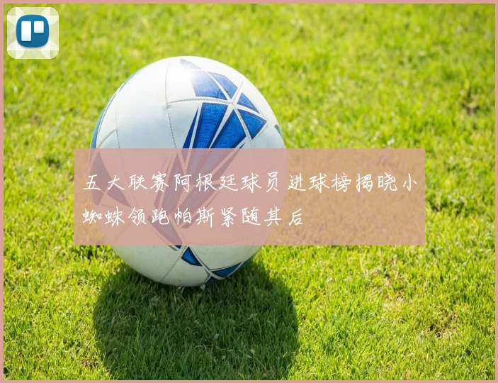五大联赛阿根廷球员进球榜揭晓小蜘蛛领跑帕斯紧随其后
